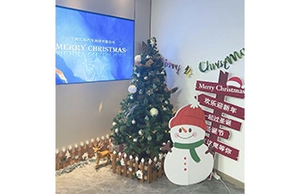 Ningbo Huizhan Automotive Technology Co., Ltd.: Embracing Christmas with Our Team, Advancing Together Toward a Brighter Future