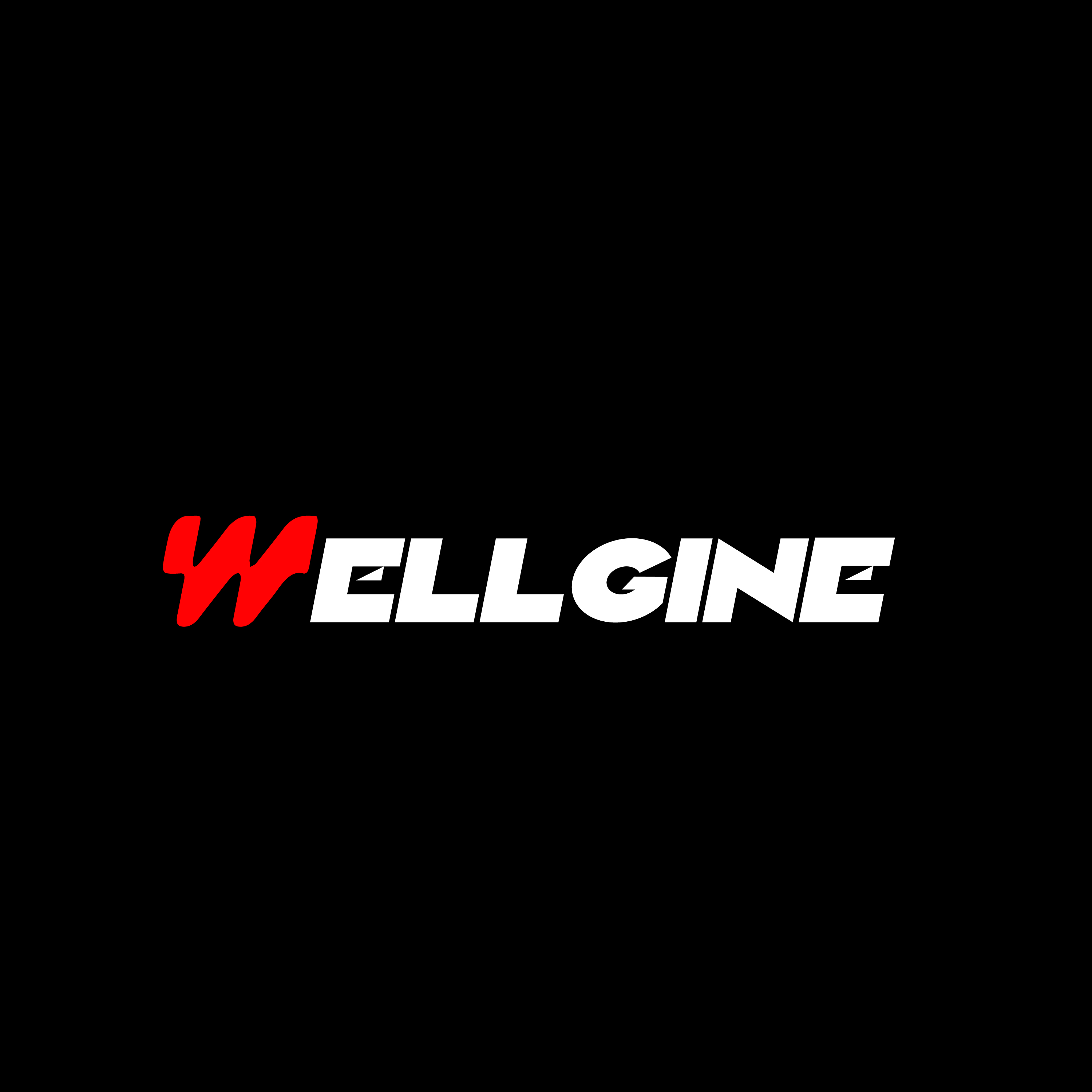 huizhan-automotive-technology-co-ltd-introducing-the-all-new-wellgine-brand-1.jpg